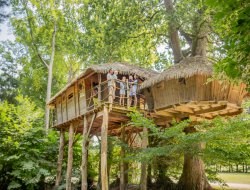 Unusual holiday in perched huts in Brittany. near Saint Pierre de Plesguen