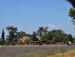 Holiday cottages in Haute Provence, South of France.