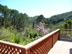 Holiday home with pool in Languedoc Roussillon. near Alès