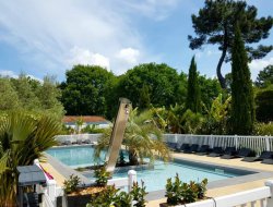 Holiday accommodations close to Arcachon in Aquitaine near Sanguinet