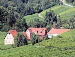 Holiday home in Alsace, France. near Le Hohwald