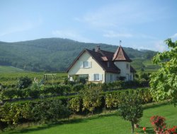 Holiday rental near Colmar in Alsace near Riquewihr