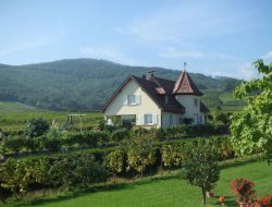 Holiday rental near Colmar in Alsace near Turckheim