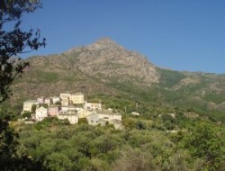 Holiday rental in Corsica, near Bastia. near Luri