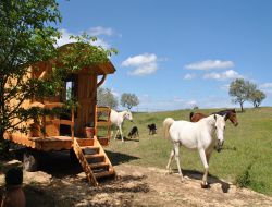 Unusual stay in Gypsy caravan in Provence. near Sainte Croix du Verdon