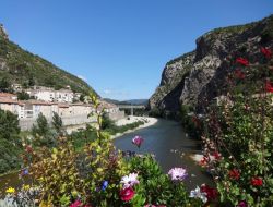 Camping close to Le Pont du Gard, Languedoc Roussillon. near Monoblet