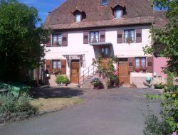 Big capacity holiday home in Alsace. near Willgottheim