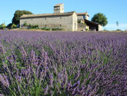 Holiday rental in the Gard, Languedoc.