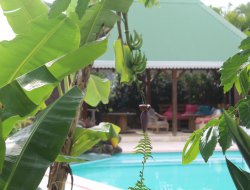 Holiday rentals on Guadeloupe island, Carribean. near Petit Bourg