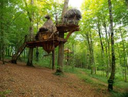 cabane perche en Champagne Ardennes