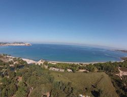 Corse 18464