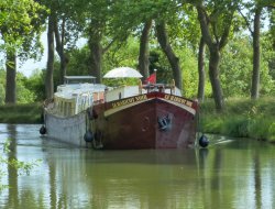 Trausse Tourisme fluvial Carcassonne sur le Canal du Midi.