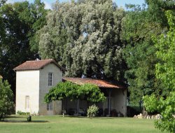 Holiday rental with pool in the Gers, Midi Pyrenees near Lannes