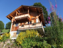 Holiday rentals near Megeve in French Alps. near Saint Jean de Sixt