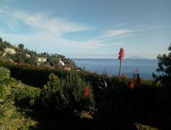 Gite a louer prs de Bastia en Corse.