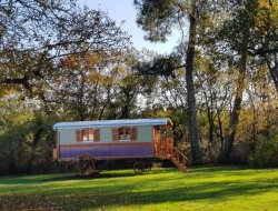 Stay in a gypsy caravan in Charente Maritime, France.