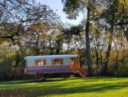 Stay in a gypsy caravan in Charente Maritime, France. near Saint Martial de Mirambeau