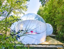 Unusual holiday accommodation in Vendee, France. near Saint Etienne du Bois