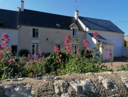 Big capacity holiday home near Blois in France near Crouy sur Cosson
