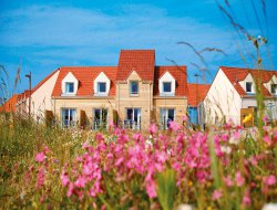 Holiday rentals with heated pool in the Baie de Somme