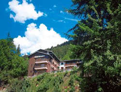 gite Alpes Haute Savoie n°21146