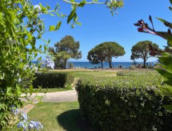 Seafront holiday rental on the French Riviera. near La Crau