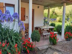 Holiday home in Alsace, France. near Eguisheim