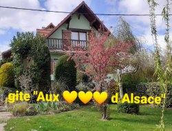 Holiday rental near Colmar in Alsace. near Riquewihr