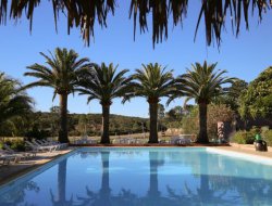 Holiday rentals with pool in Porto Vecchio near Favone