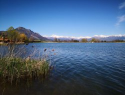 Seyne les Alpes Les campings dans les Hautes Alpes  