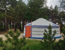 unusual stay in a yurt in Provence, France. near Mévouillon