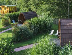 Unususal holiday rental near Beauval in Loire Valley. near Le Controis en Sologne