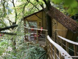 Sjour en cabane perche en Bretagne.