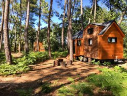 Sjour insolite en tiny house dans le Maine et Loire