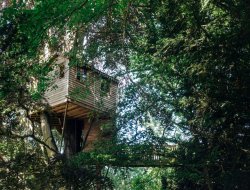 Nanteuil la Forêt Nuit insolite en cabane perchée dans la Marne