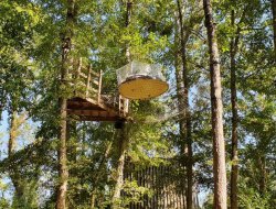 Montigny sur Loing Sjour perch dans les arbres en Seine et Marne