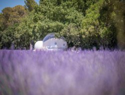 Saint Savournin Location vacances insolite en Provence