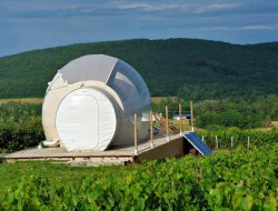 Unusual holiday rentals in Champagne vineyards.