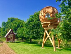 Hnanbihen Location de cabanes perches dans les ctes d'Armor.