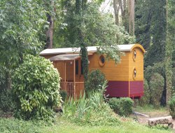 Rent of a gypsy caravan in Auvergne.