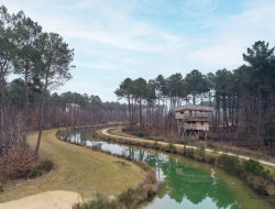 Morton Vienne cabane perche en Poitou Charentes
