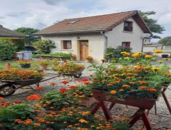 Holiday cottage near Clermont Ferrand and Vulcania in Auvergne.