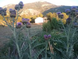 Unusual holiday accommodation in the south of France. near Rosans