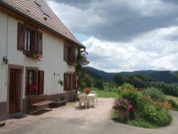 Holiday rental in Lapoutroie Alsace near Bennwihr