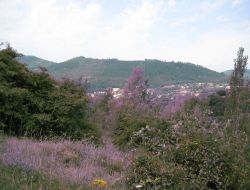 Saint Jean du Gard	 Location saisonnière à Anduze