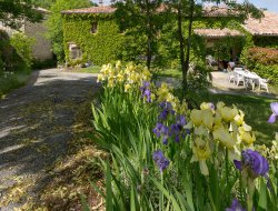 Relaxation, spa, massages en Ardèche Rhone Alpes n°6484
