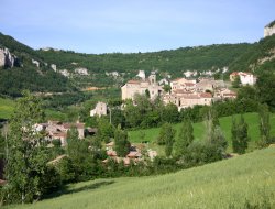 vacances dans l'Aveyron  Saint Georges de Luzencon n6549