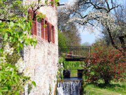 vacances en Cte d'Or  Saint Germain le Rocheux n7505