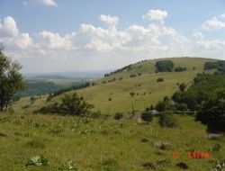 Gite sur le plateau de l'Aubrac