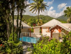 Air-conditioned cottage with pool in Guadeloupe near Goyave